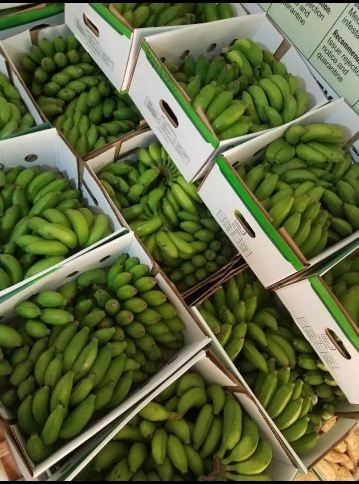 Carton de petit Banane